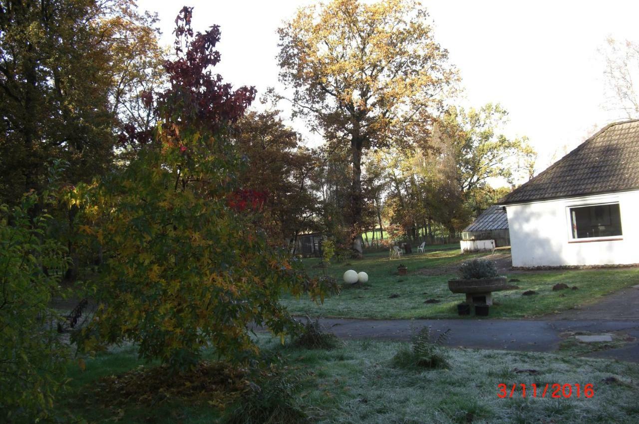 Ferienhaus Huus Ton Witten Barg Undeloh Exterior foto