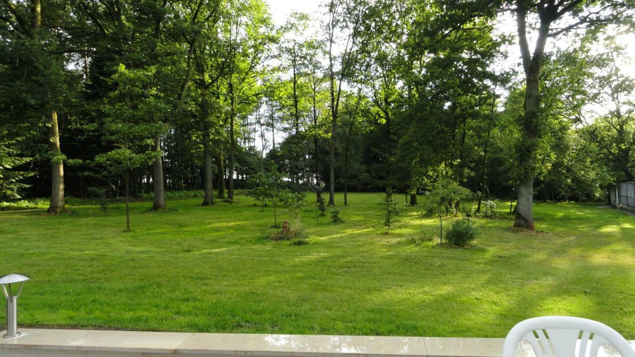 Ferienhaus Huus Ton Witten Barg Undeloh Exterior foto